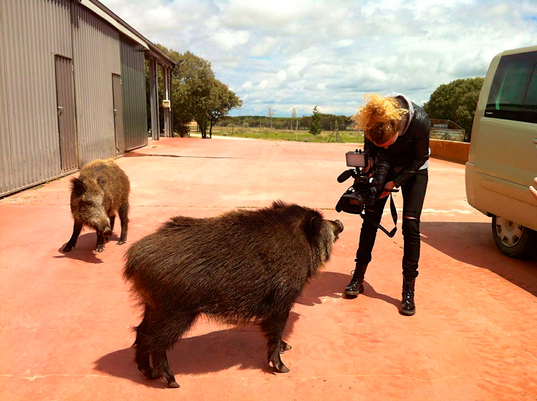 Segovia de pueblo en pueblo, La 8 Segovia