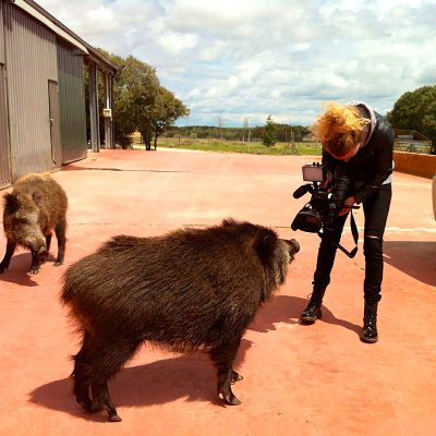Segovia de pueblo en pueblo, La 8 Segovia